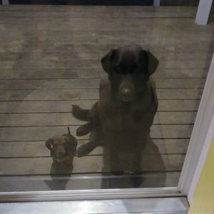 Meet your Posher, Bev